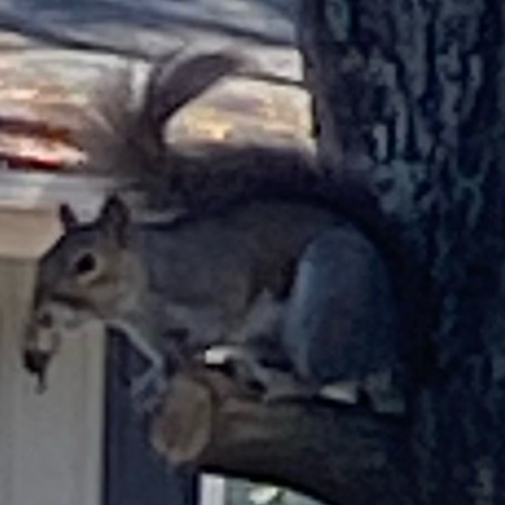 Meet your Posher, Mila